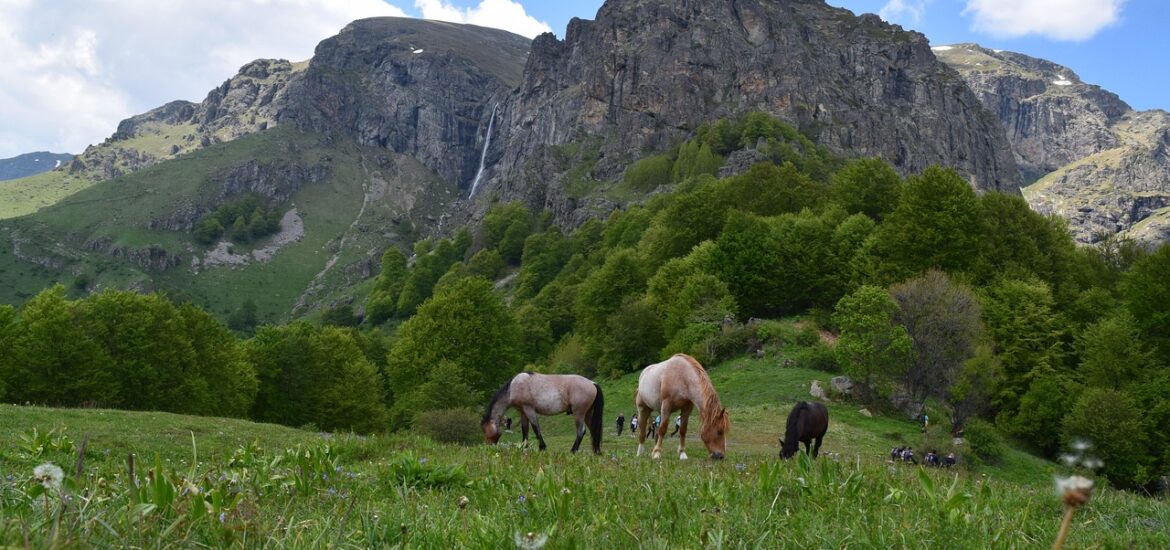 jesienne zdjęcia w górach